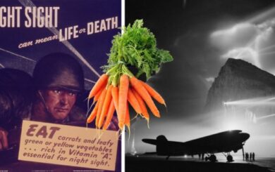 Як морква змінила хід Другої світової війни: секретна зброя британців