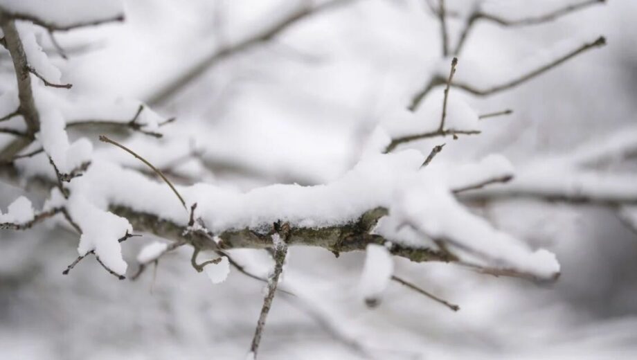 Морозы до -19 ° C в Украине 17 февраля: где ударит сильнейший холод и какие регионы накроет резкое похолодание