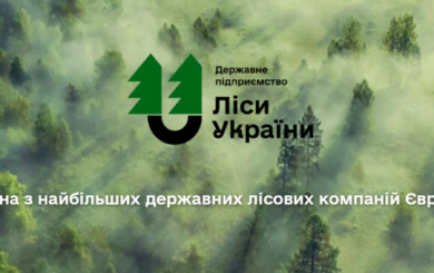 »Иванина Дмитрий: каждый день деловой дуб пилят на дрова и вывозят», — чат-бот СтопКору