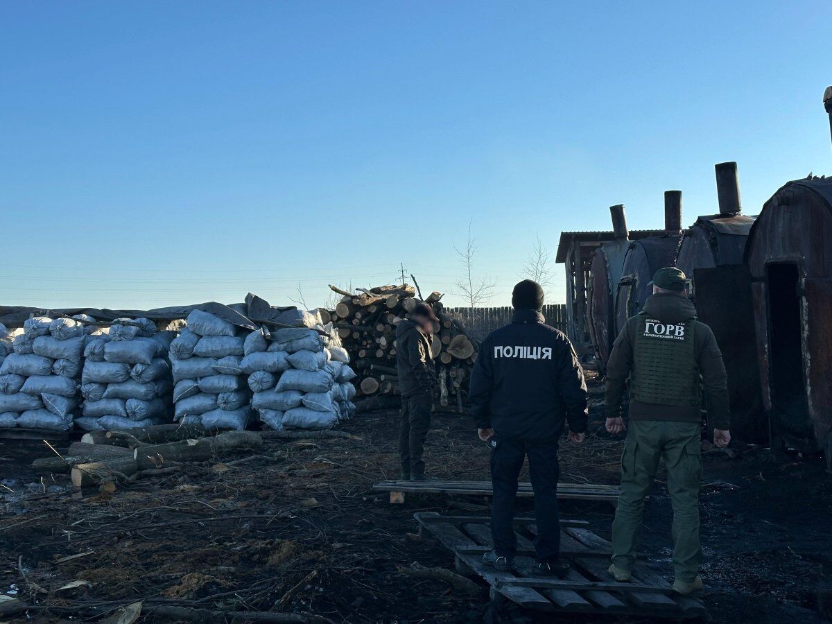 В Ровенской области разоблачили незаконный обжиг древесного угля: обнаружено 6 печей и сотни мешков продукции