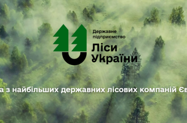 ”Іваніна Дмитро: кожного дня діловий дуб пиляють на дрова і вивозять”, – чат-бот СтопКору
