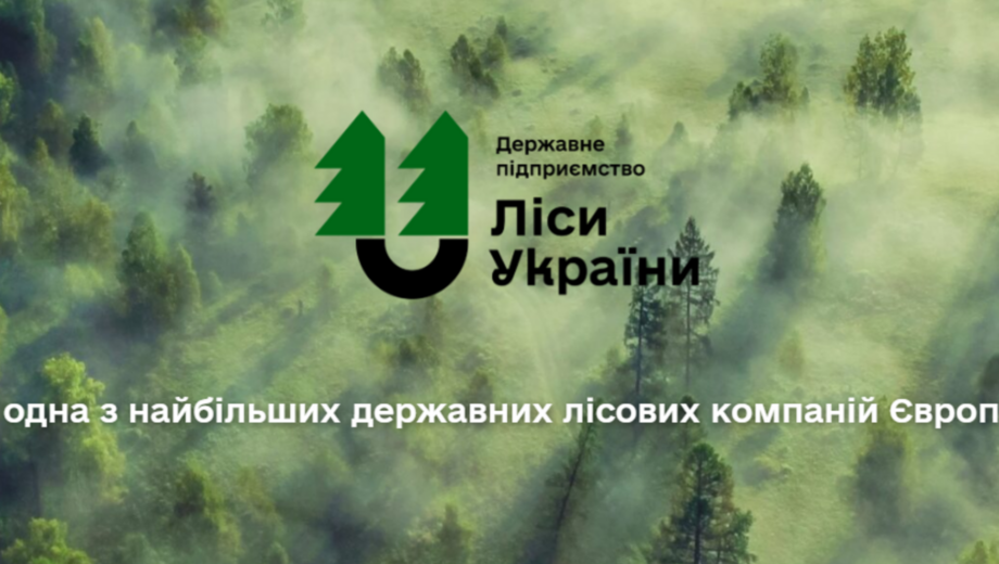 »Иванина Дмитрий: каждый день деловой дуб пилят на дрова и вывозят», — чат-бот СтопКору