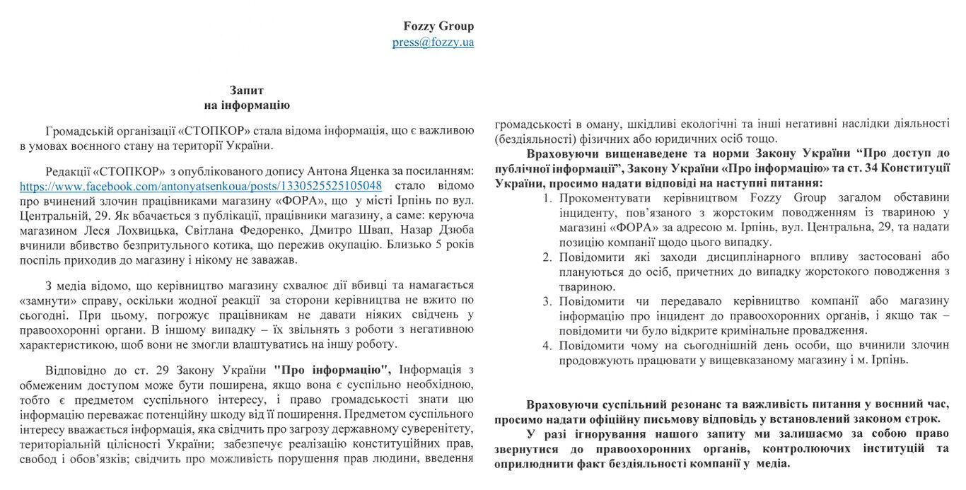 ''Он просто хотел есть'': в Ирпене сотрудники супермаркета убили пережившего оккупацию кота