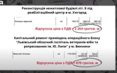 Корупційний скандал: журналісти викрили завищення цін на матеріали для реабілітаційного центру на Закарпатті