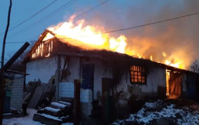 В Николаевской области мать спасла шестерых детей во время пожара
