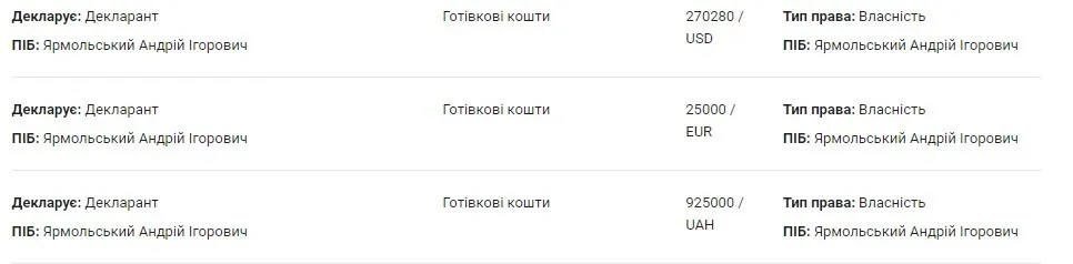В декларации показано 270 280 долларов США, 25 000 евро, 925 000 гривен наличных средств в собственности
