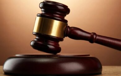Суд над лісником на Прикарпатті за незаконну вирубку дерев на 15 млн грн