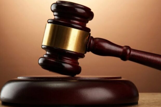 Суд над лісником на Прикарпатті за незаконну вирубку дерев на 15 млн грн