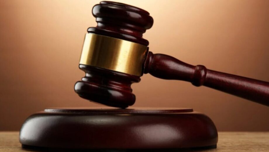 Суд над лісником на Прикарпатті за незаконну вирубку дерев на 15 млн грн
