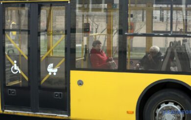 Песик, кактус і газонокосарка: які речі забувають у транспорті Києва