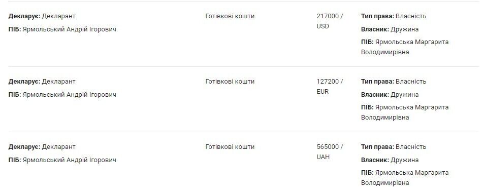 Наталья Ярмольская также имеет наличные 217 тыс. долларов США, 27 200 евро и 565 тыс. гривен