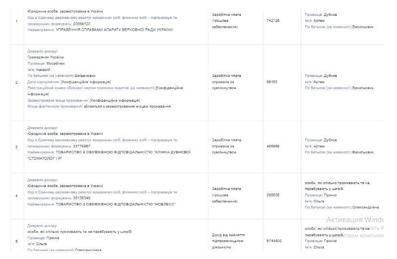 Финансы семьи Дубновых в декларации за 2024 год