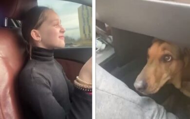 Поліція розшукала львів’янина, який посадив за кермо дев’ятирічну доньку: його оштрафували