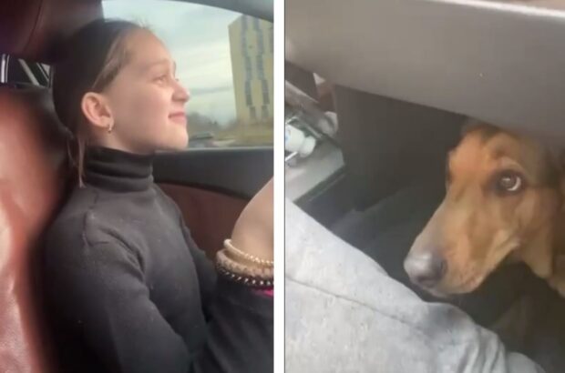 Поліція розшукала львів’янина, який посадив за кермо дев’ятирічну доньку: його оштрафували