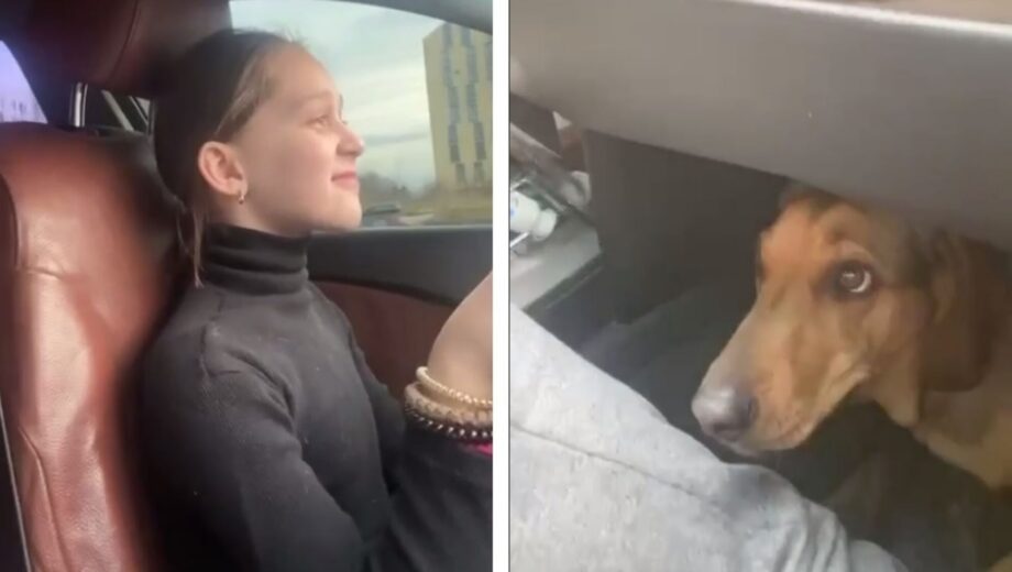 Поліція розшукала львів’янина, який посадив за кермо дев’ятирічну доньку: його оштрафували