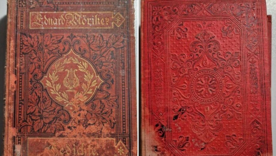 Старинные книги в Одесской области: таможенники остановили вывоз предположительно из библиотеки Грушевского