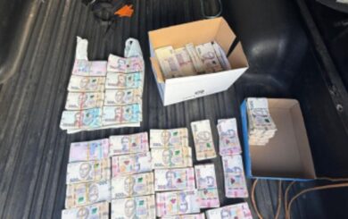 ДБР затримало начальника надлісництва з хабарем у 3 млн грн