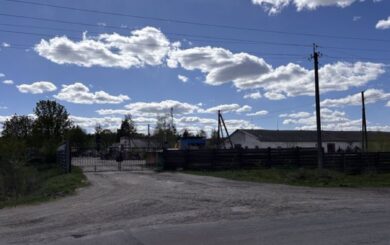 Скандал в Житомирской области: гибель коров и подозрения в сокрытии фактов на госпредприятии »Рыхальское»