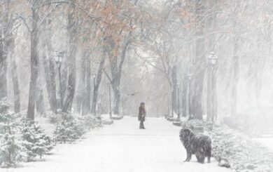Восточные области под мощным снегом: Харьков, Луганск, Донбасса