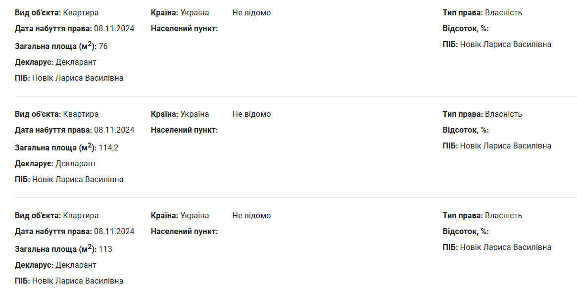 Скриншот декларации Новик Ларисы