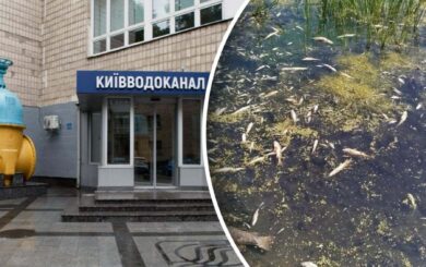 Забруднення Десни
