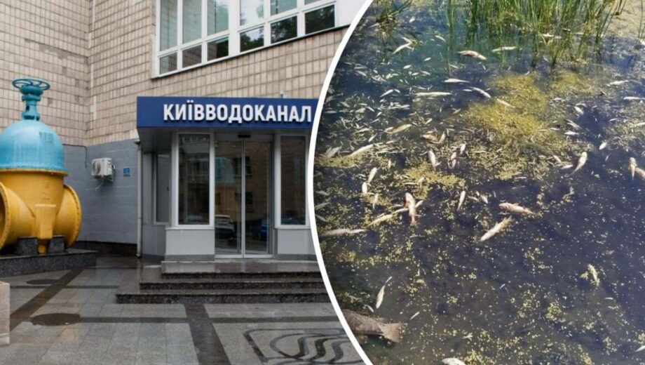 Забруднення Десни