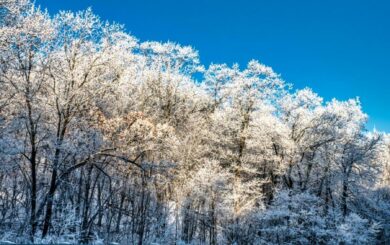 В Украине резко похолодает: синоптики назвали дату до -12°C и возвращение тепла