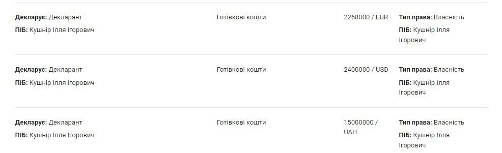 Декларация Ильи Кушнира