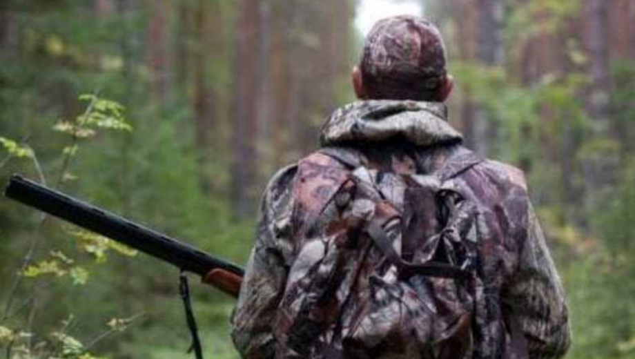 В Україні дозволили ”санітарне полювання” на хижих тварин через сказ