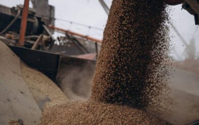 Транзит української сільгосппродукції через Польщу: проблеми та наслідки для економіки
