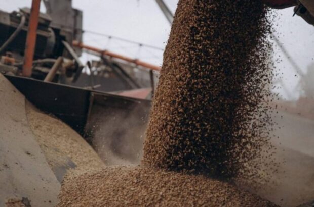 Транзит украинской сельхозпродукции через Польшу: проблемы и последствия для экономики