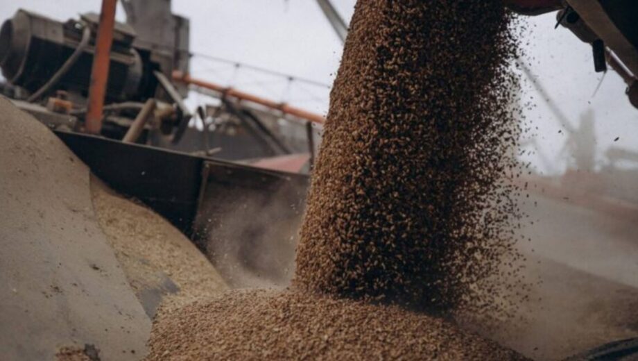 Транзит української сільгосппродукції через Польщу: проблеми та наслідки для економіки