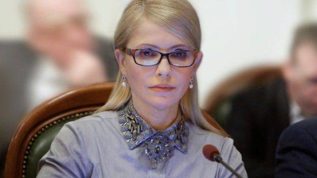 Фракція ''Батьківщина'' виступила проти президентського законопроєкту про множинне громадянство