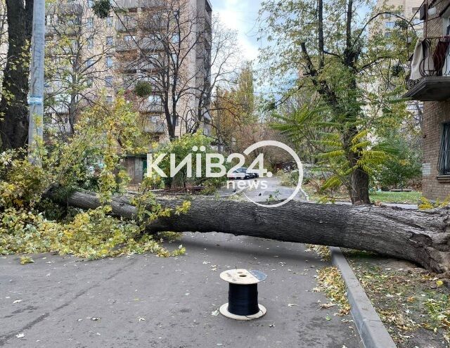 Сильный ветер в Киеве срывает крыши и вырывает деревья (фото)