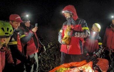 Кіт Персик зігрів ухилянта в Карпатах та врятував йому життя