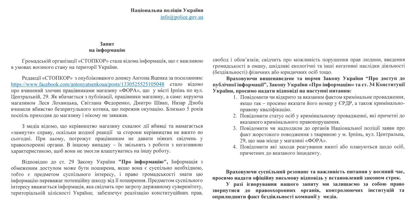 ''Он просто хотел есть'': в Ирпене сотрудники супермаркета убили пережившего оккупацию кота