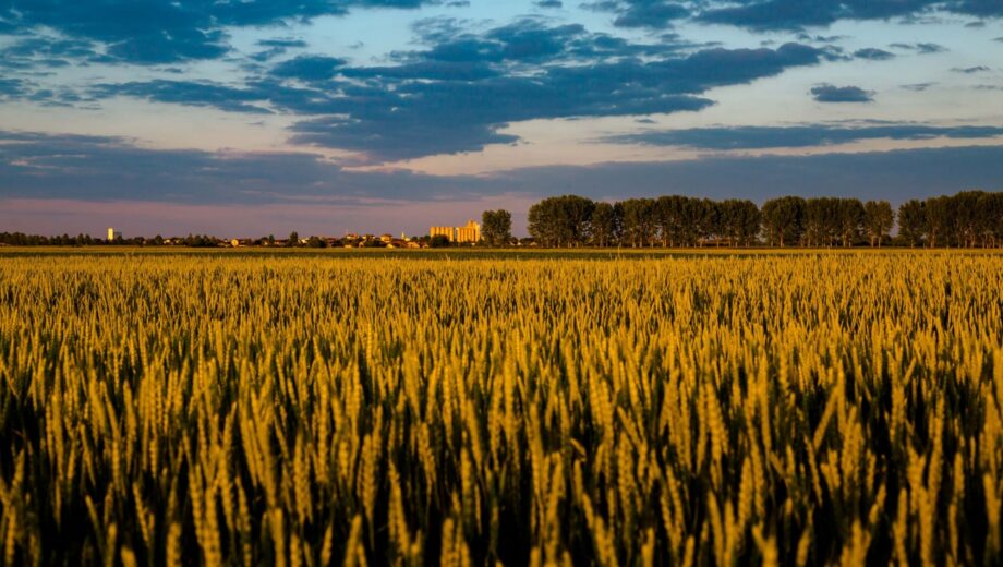 Офіс Генерального прокурора вимагає повернути державі землі у зоні відчуження