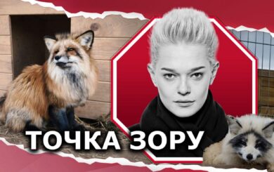 Лисы, которых не должно было быть, или играя в бога, мы противоречим природе