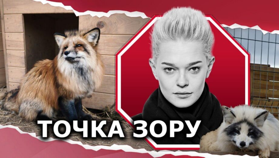 Лисы, которых не должно было быть, или играя в бога, мы противоречим природе