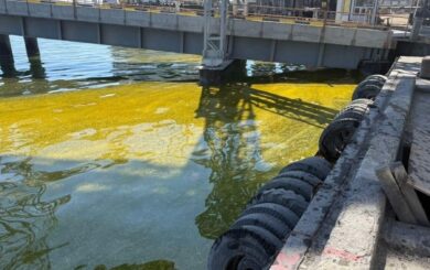 Тысячи тонн масла попали в море после атак рф по порту Одесщины