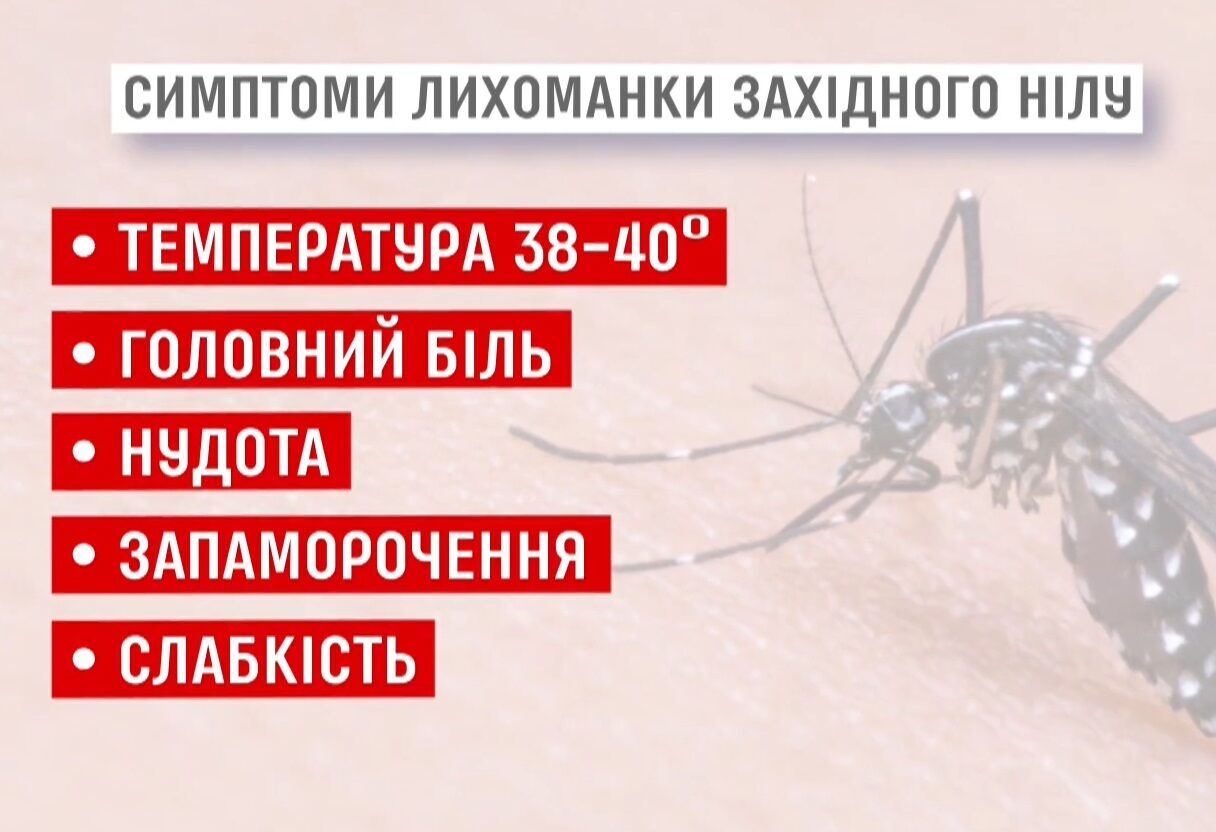В Киеве три человека умерли от лихорадки Западного Нила: что известно о недуге