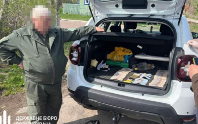 На Житомирщині ДБР затримало керівника прородного заповідника за нелегальний збут деревини