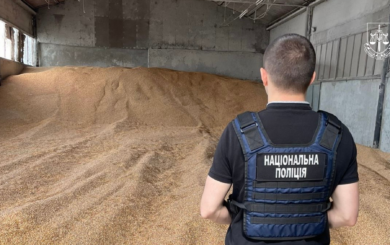 Мошенничество с зерном на $900 тысяч: депутат на свободе, а агрособственница – под стражей