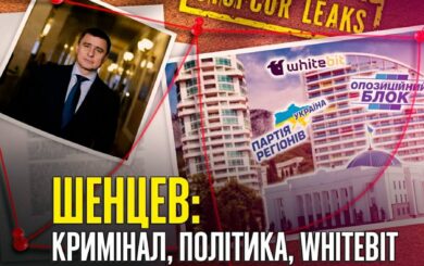Пять созывов в Раде, Миндичгейт и российский след: история Дмитрия Шенцева