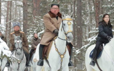Путин отправил Ким Чен Ину новых орловских рысаков: 24 лошади для Северной Кореи