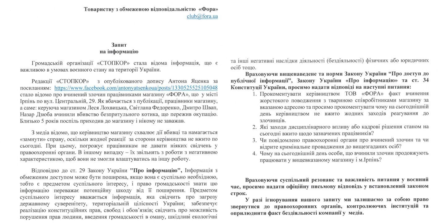''Он просто хотел есть'': в Ирпене сотрудники супермаркета убили пережившего оккупацию кота