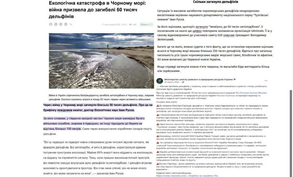 Что известно о ситуации с дельфинами на юге Украины