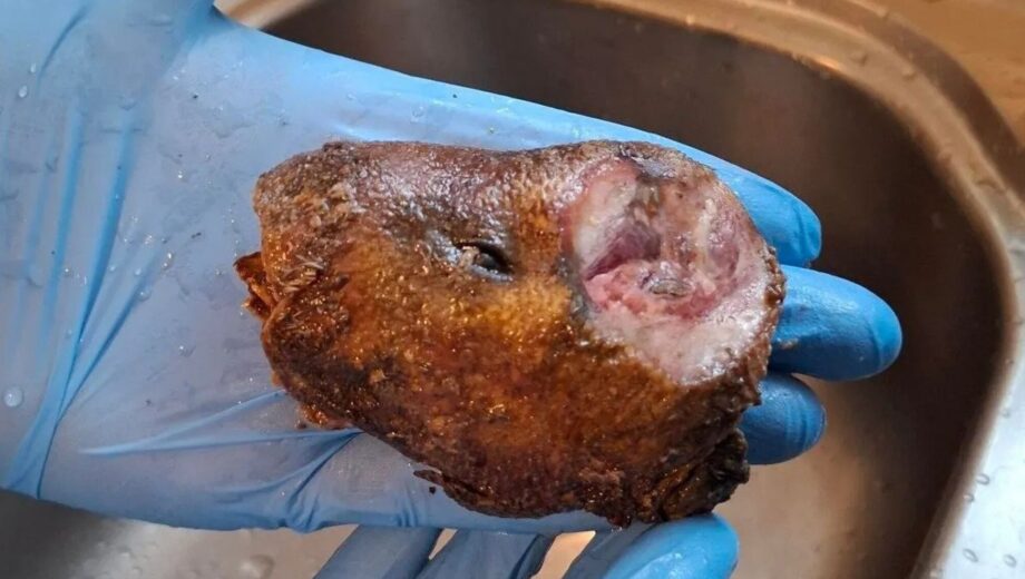 В Лондоне изъяли 11 кг нелегального мяса панголинов и крыс — мужчину задержали