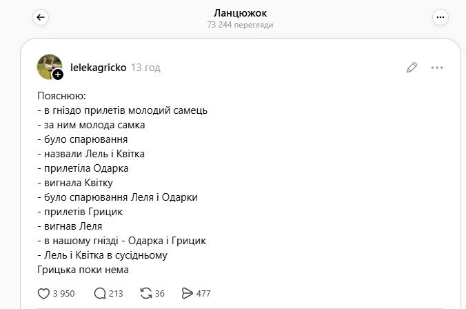 Лелеча драма в Леляках: Грицик повернувся і відстояв гніздо