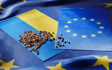 »Экономический безвиз» Украины с ЕС планируют продлить до лета 2025 года